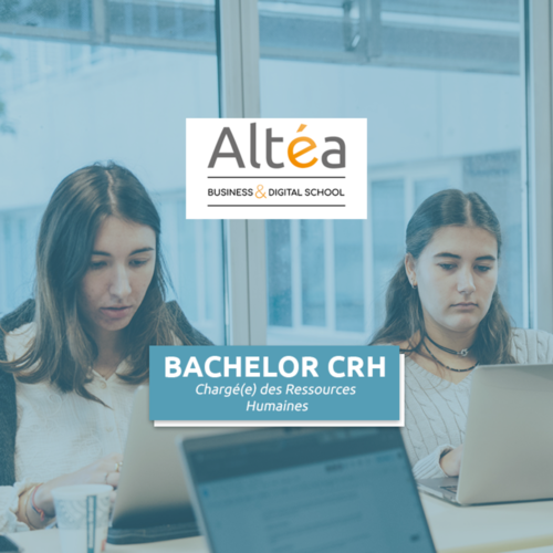 Bachelor Chargé des Ressources Humaines
