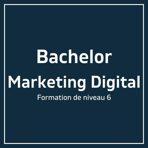 Bachelor Marketing Digital