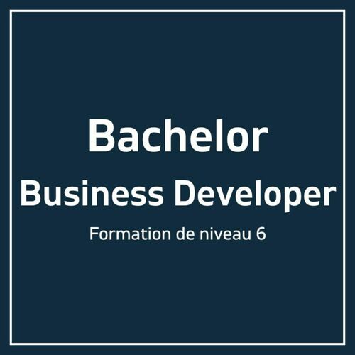 Bachelor Business Developer 
