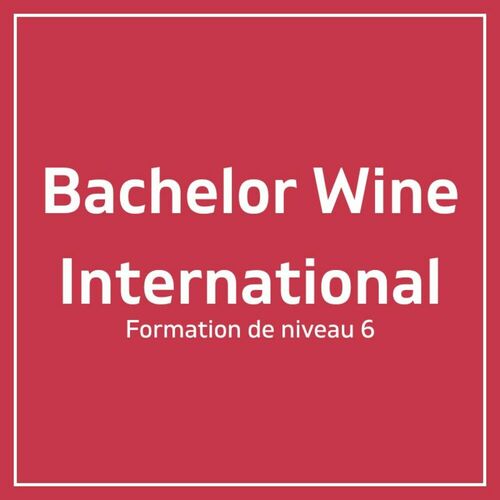 Bachelor Wine International