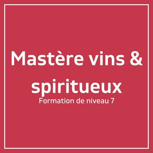 Mastère Commerce & Management des vins et spiritueux