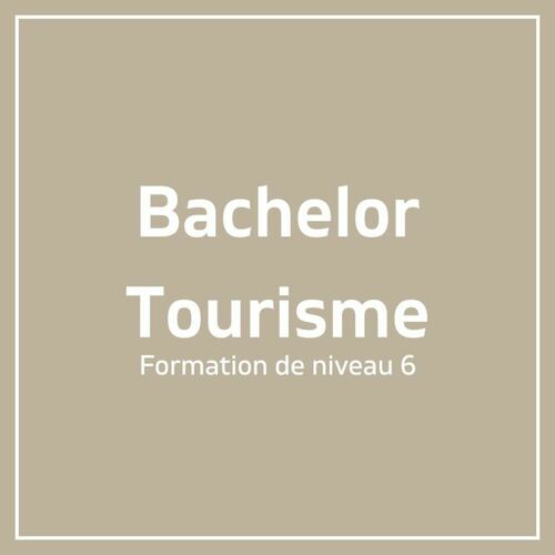 Bachelor Tourisme