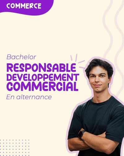 Bachelor Responsable de Developpement Commercial