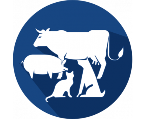 Choisir son métier au contact des animaux