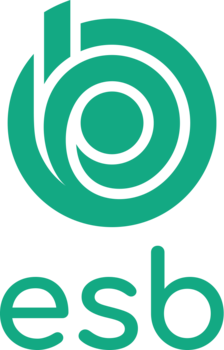 ÉCOLE SUPÉRIEURE DU BOIS - ESB