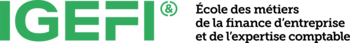 IGEFI - EXPERTISE COMPTABLE ET FINANCE D'ENTREPRISE