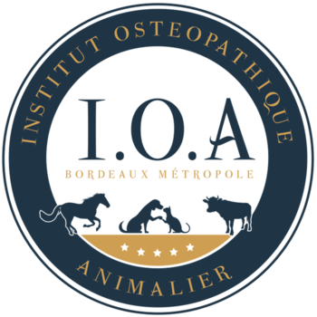 INSTITUT OSTEOPATHIQUE ANIMALIER IOA