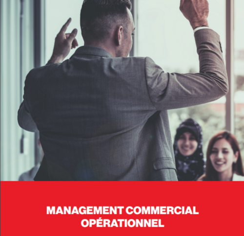 BTS Management Commercial Opérationnel (MCO)