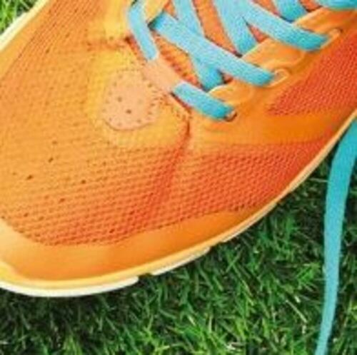 Circuit training 2025