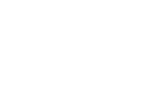 la licence DCG des métiers de la gestion