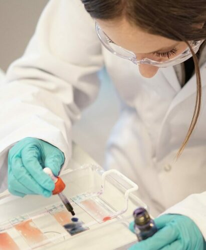 2. FORMAT ALTERNANCE A PARTIR DE LA 2ème ANNÉE