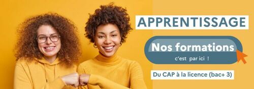 L'apprentissage dans les lycées 