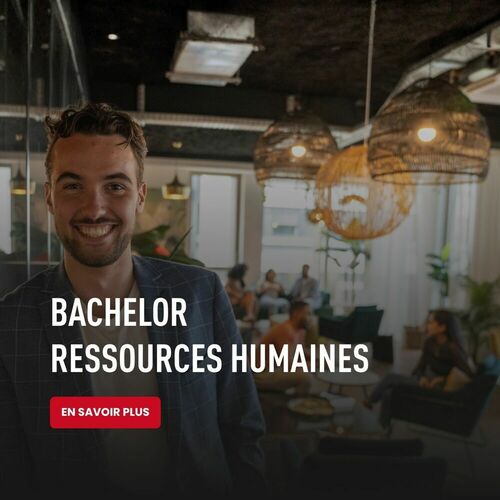 Bachelor Ressources Humaines