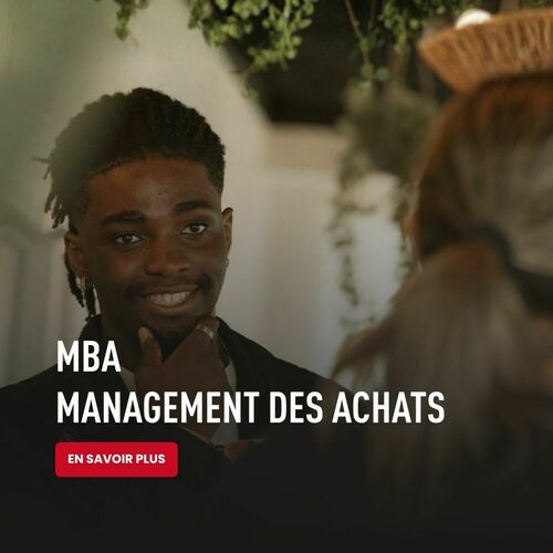 MBA Management des Achats