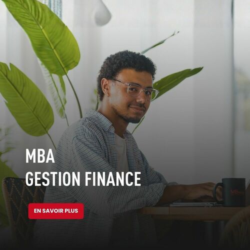 MBA Management Gestion Finance