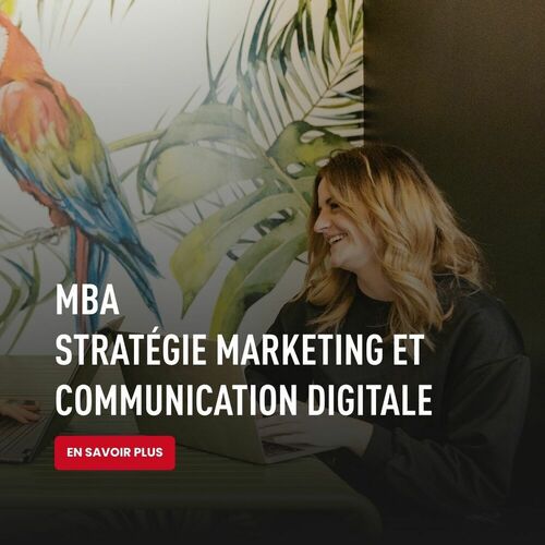 MBA Stratégie Marketing et Communication Digitale