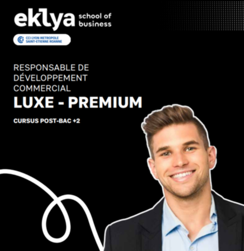 Plaquette Post Bac +2 : Responsable Développement Commercial - Secteur Luxe Premium