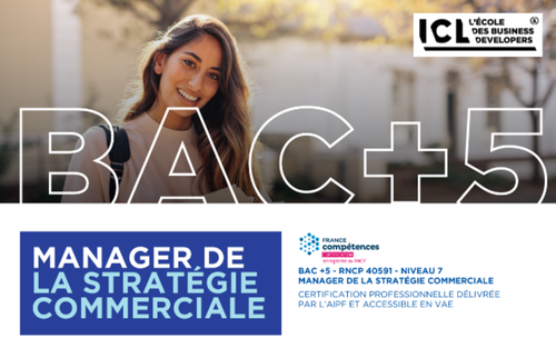Bac+5 - MBA Manager de la stratégie commerciale