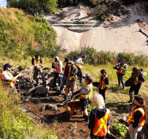 Technologie minérale