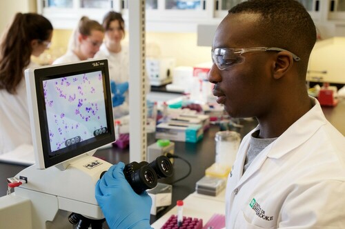 Programmes de doctorats