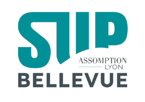 Plaquette formations SUP Bellevue