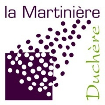 Lycée général et technologique La Martinière Duchère