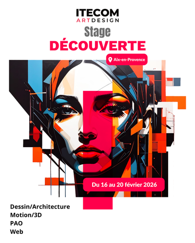 NOS STAGES DÉCOUVERTES