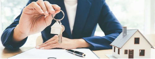 Bachelor Banque-Assurance