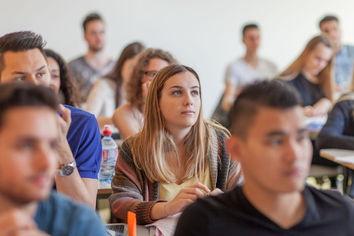 Bachelor Responsable en Développement Commercial et Marketing