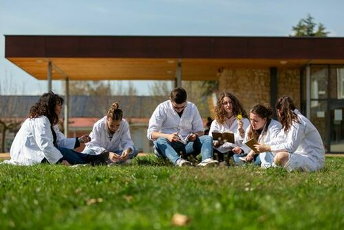 Nos domaines de formations professionnelles