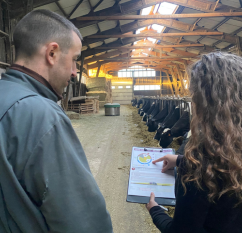 Licence Professionnelle Conseil en élevage