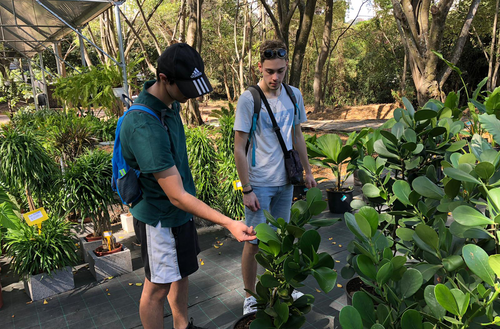 Licence Droit, Economie, Gestion mention Gestion Parcours Commerce, vente et marketing – Option Management et Gestion de la Jardinerie