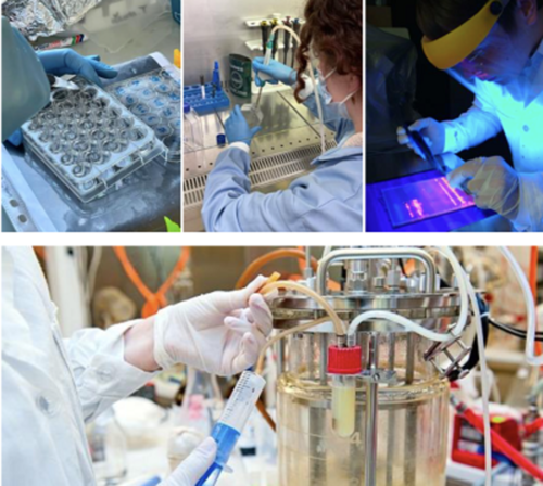 BTS Biotechnologie en Recherche et en Production