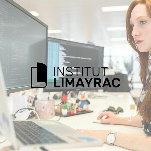 Expert Systèmes d’Information