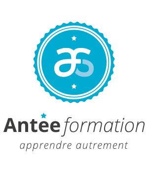 ANTEE FORMATION