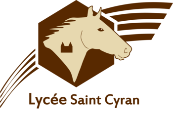 LEAP SAINT CYRAN