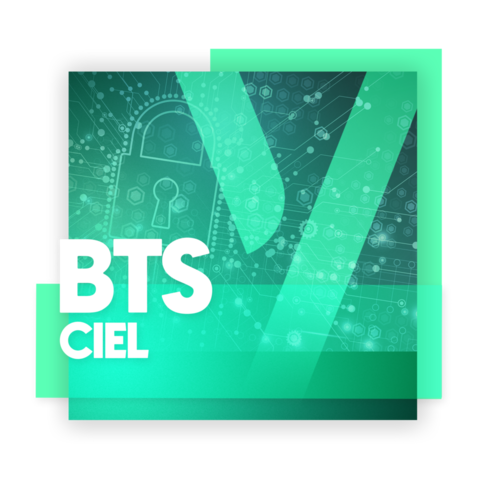 BTS CIEL