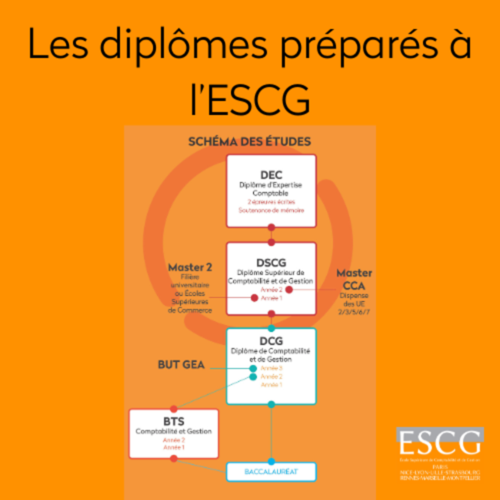 Les diplômes préparés à l'ESCG