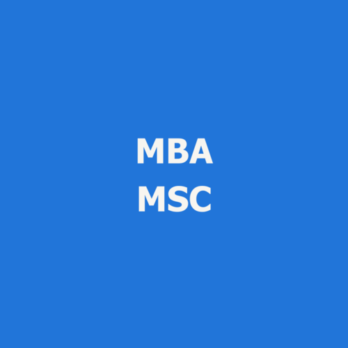 MBA MANAGER DE LA STRATEGIE COMMERCIALE