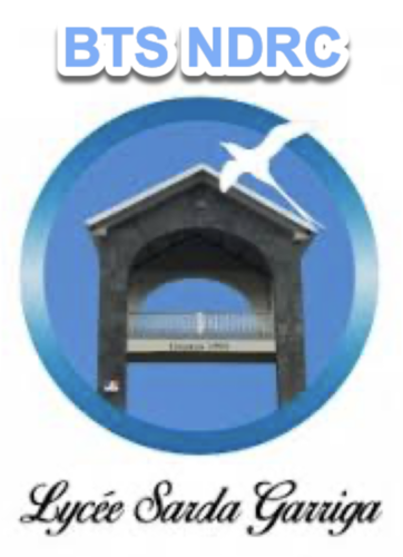 Brevet de Technicien(ne) Supérieur Négociation et Digitalisation de la Relation Client