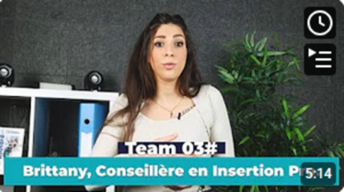 Titre Professionnel de Conseillère en Insertion Professionnel