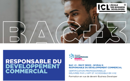 Bac+3 - Bachelor Responsable du Développement Commercial