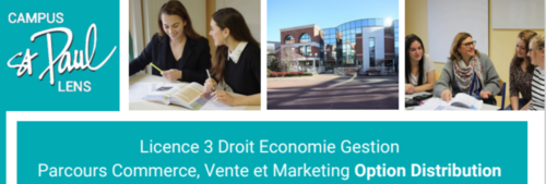 Plaquette de formation Licence Générale Commerce Vente et Marketing option Distribution