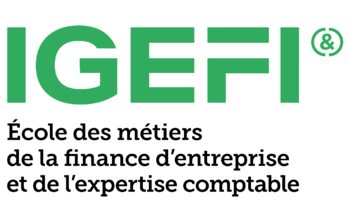 IGEFI, Métiers de la finance d'entreprise et de l'expertise comptable