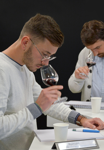 Formations commerce des vins, bières et spiritueux