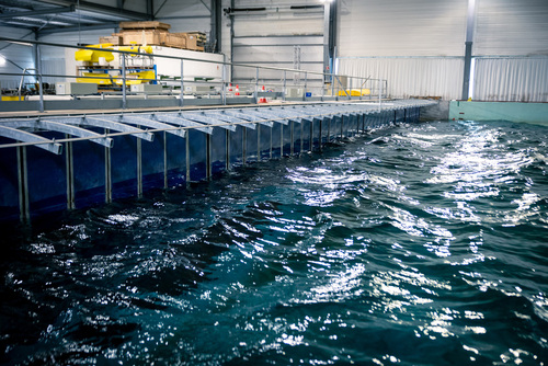 Ingénieur de spécialité génie océanique - en partenariat avec l'ITII Pays de Loire