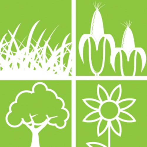 Choisir son métier en productions végétales