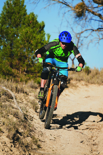 Licence STAPS Management du sport