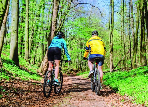 Master STAPS Management du Sport parcours Sports, Evènementiels et Environnements