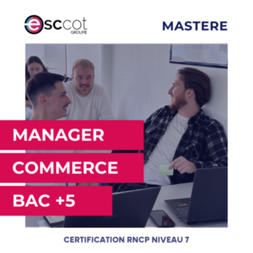 BAC+4/5 - Mastère Manager Commerce Marketing